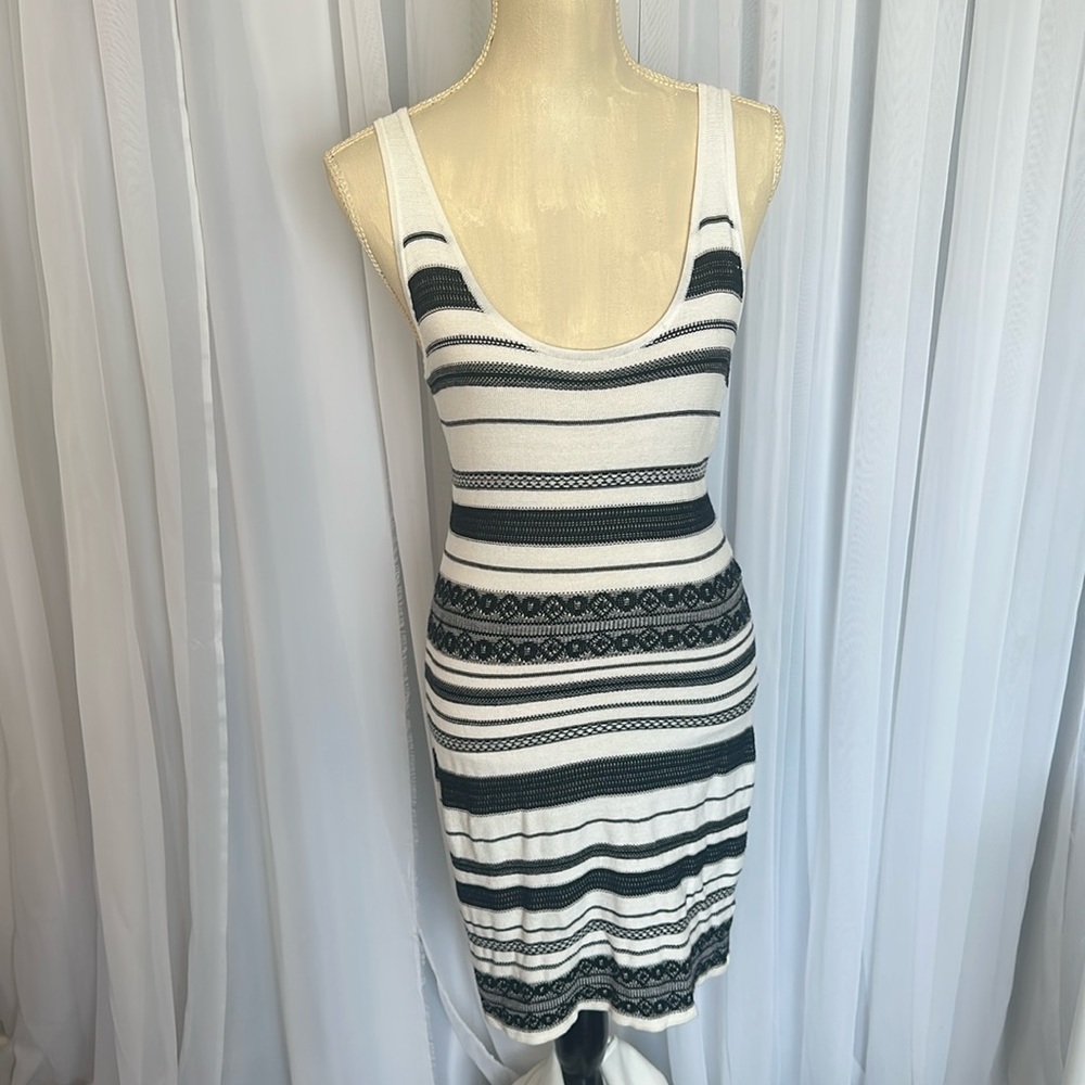 Black and Beige Dress